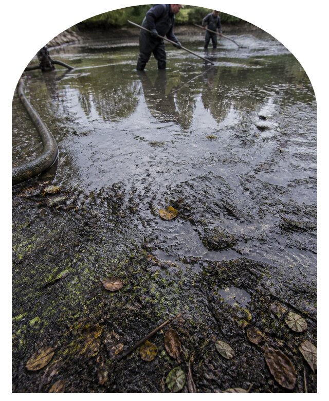 Очистка пруда в Мурманске от ила мусора и водорослей с вывозом